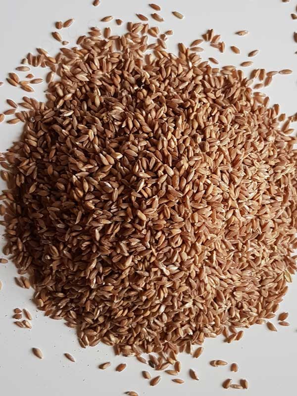 Farro Bio Terra Madre