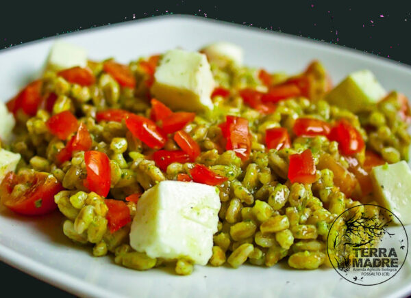 Farro pomodorini e pesto